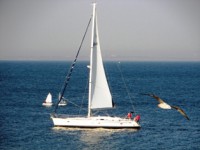 /album/foto-transport-oruzhie-kukly-/g-odessa-i-belgorod-dnestrovskij-549-jpg/